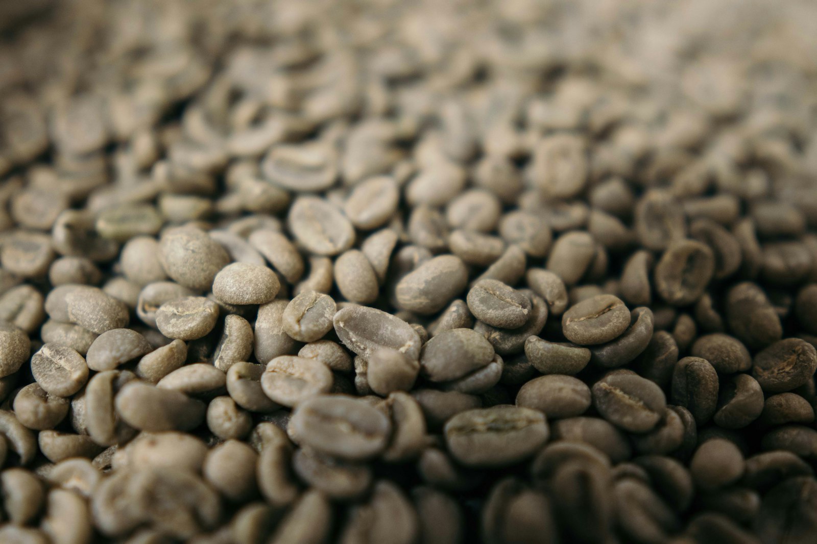Java Sky Green Bean — Arabica Gayo