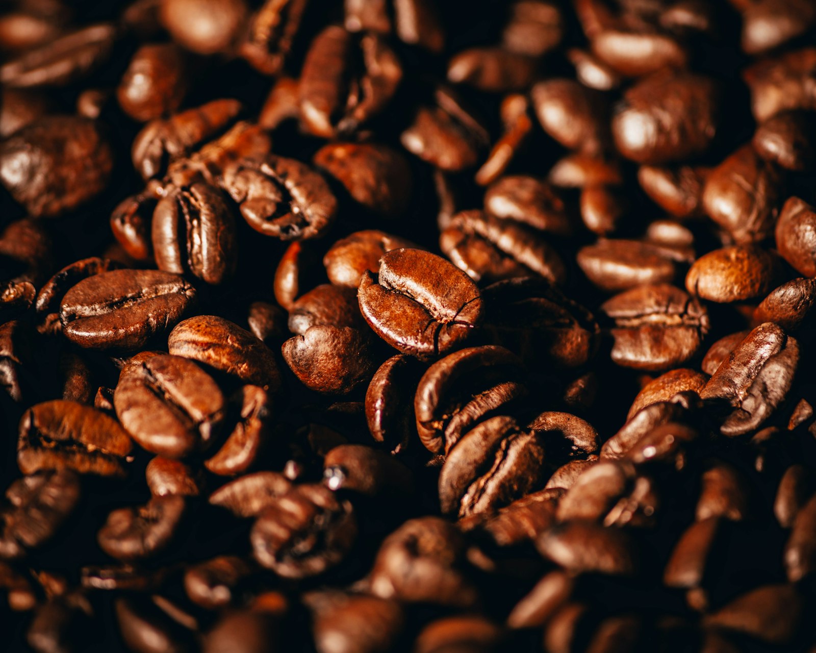 Ijen Arabica